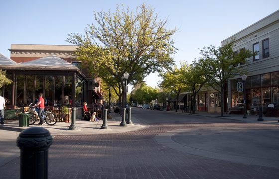 A street of awnings and shopfronts in Hyde Park, in the North End