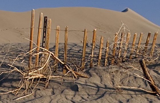 The sand ridge at Bruneau Dunes State Park, south-east of Boise