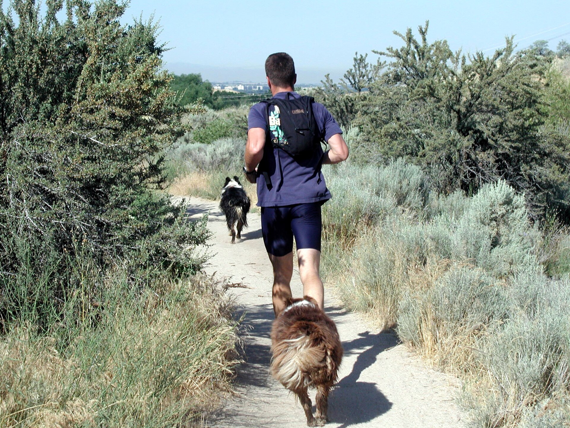 Boise Foothills, illustrating What Is Boise's 8th Street Food Corridor? Explained