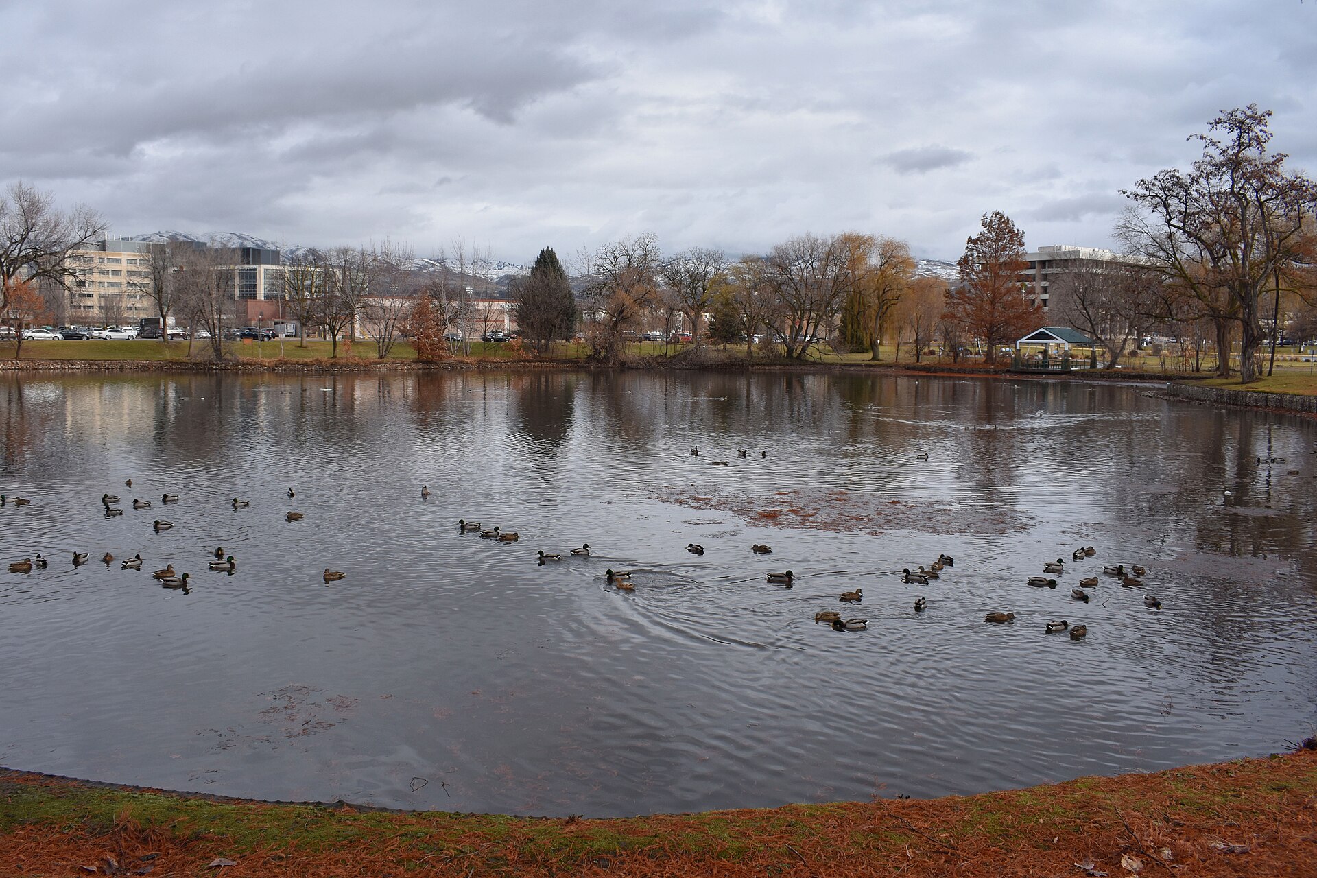 Julia Davis Park, illustrating What Is Barber Park, and Why Does Everyone Start There