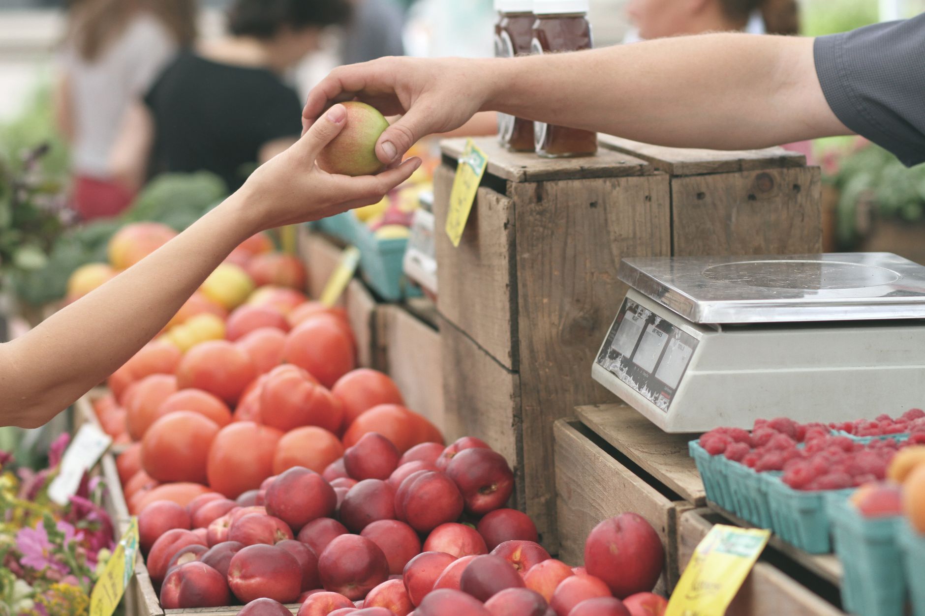 A customer exchanges an apple with a vendor at a vibrant farmers market, illustrating What Is the Boise Farmers Market, and When Does It Run