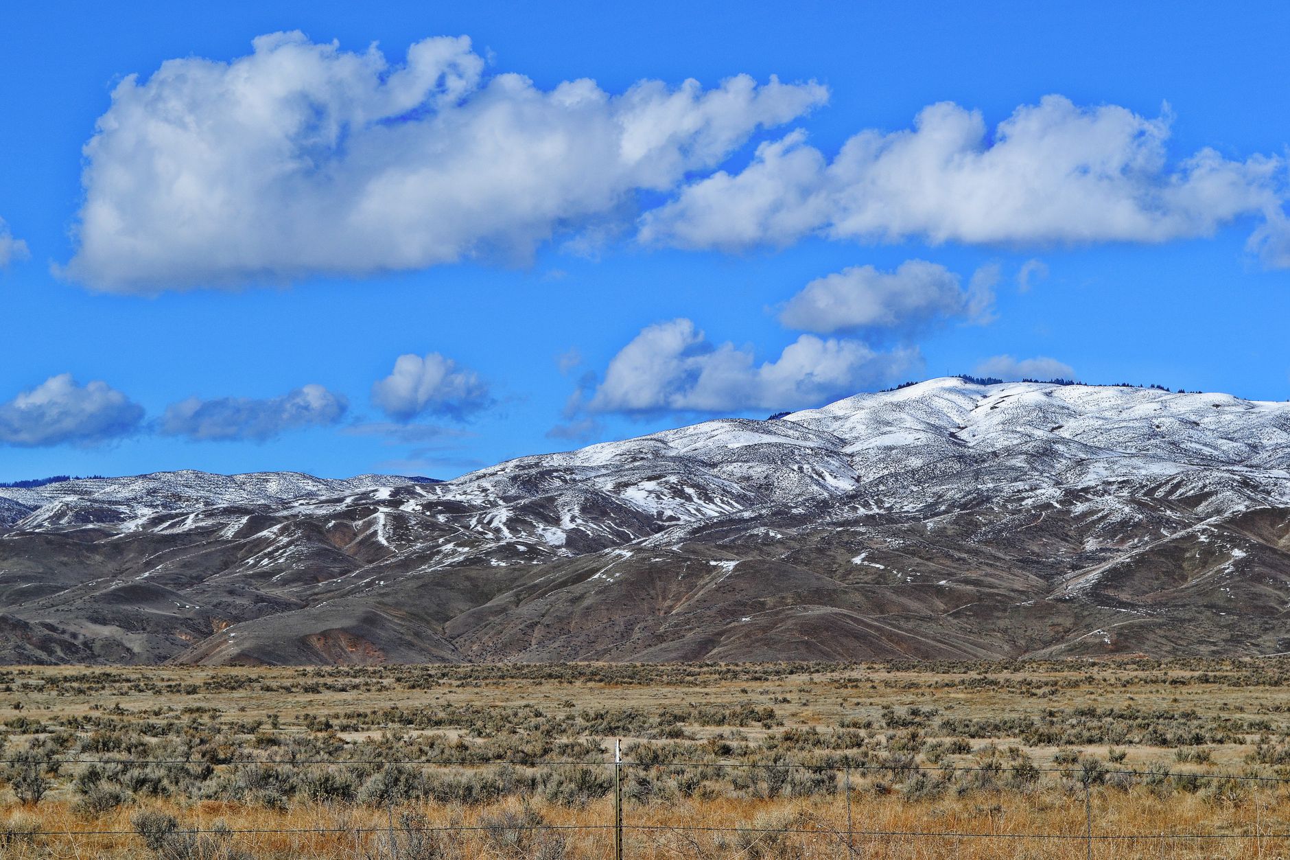 Snow capped Boise Foothills under a vivid blue sky with fluffy clouds, illustrating What Lives in the Boise Foothills, and What to Watch For