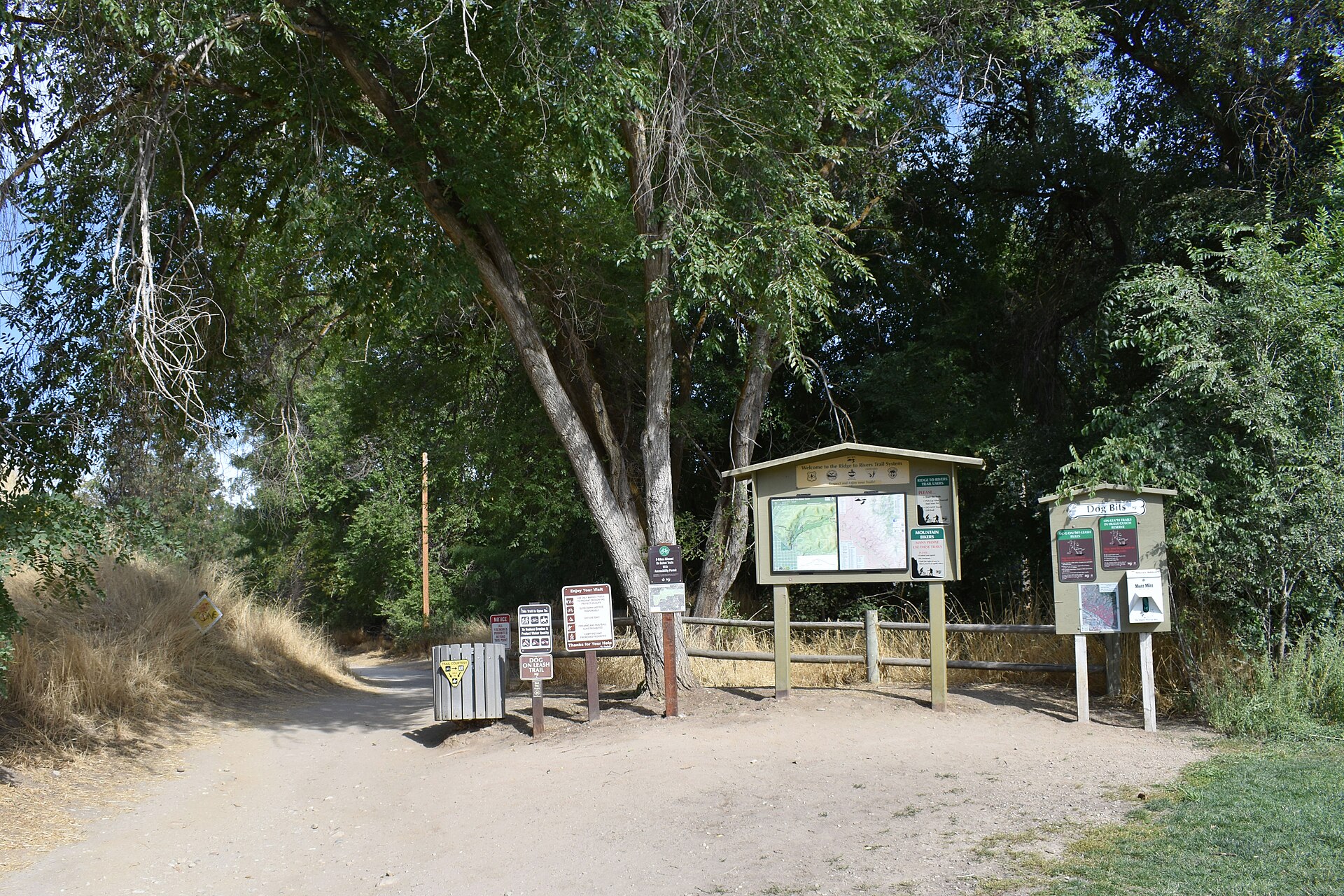 Camel's Back Park, illustrating What Is Camel's Back Park, and What Starts There