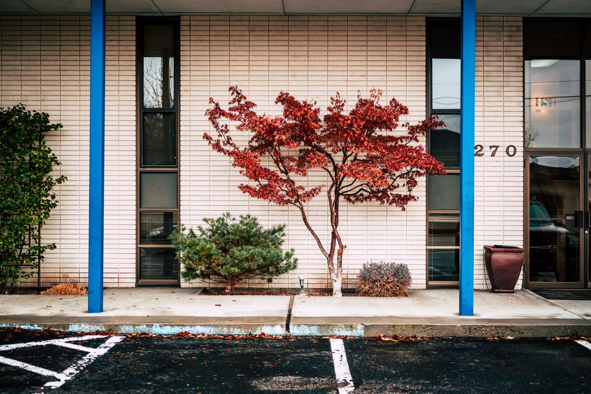 Contemporary building facade with autumn tree and blue columns in Boise, Idaho, illustrating What Is the Capital City Public Market in Boise