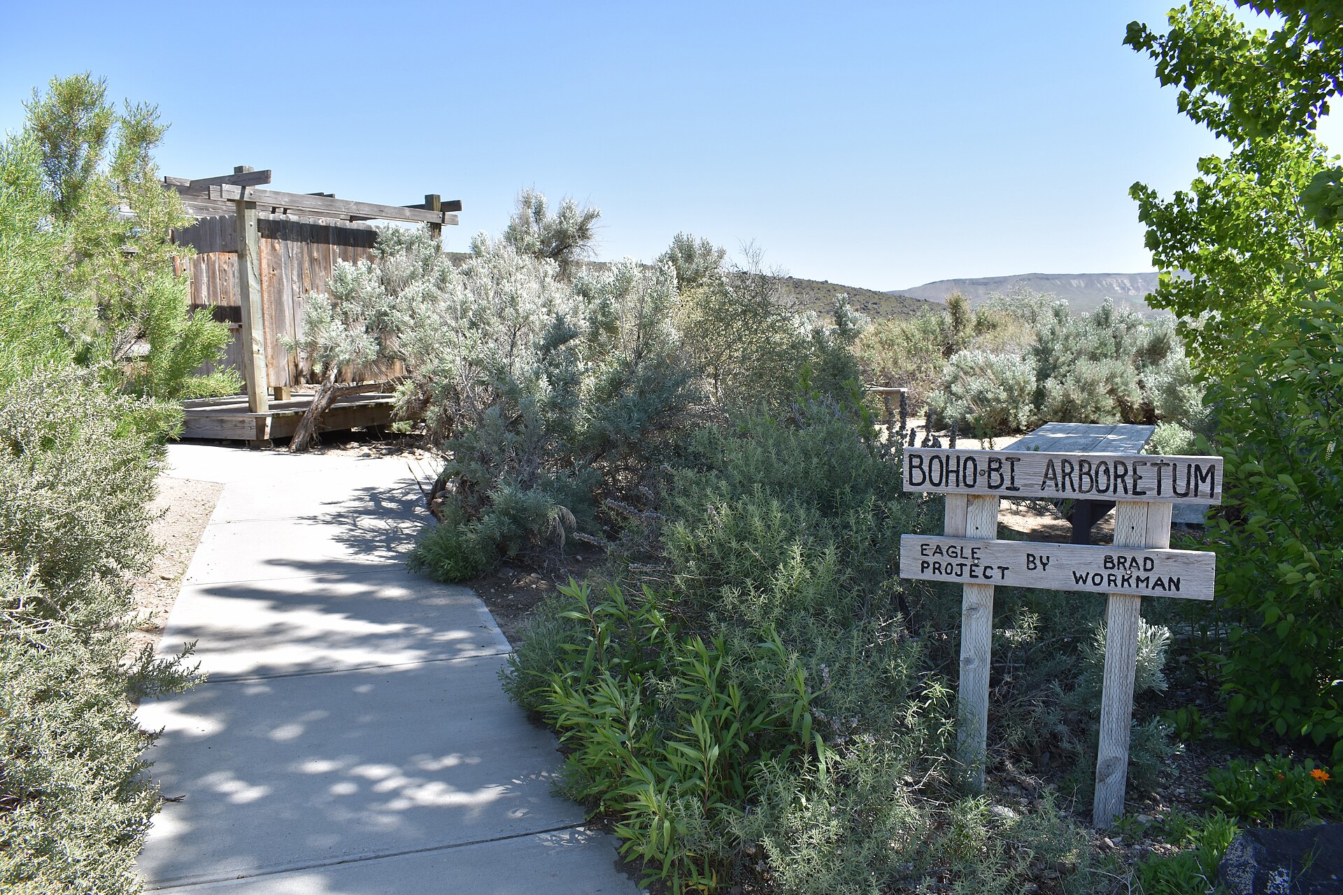 Celebration Park, illustrating What Is Celebration Park, and What Is Carved on the Rocks