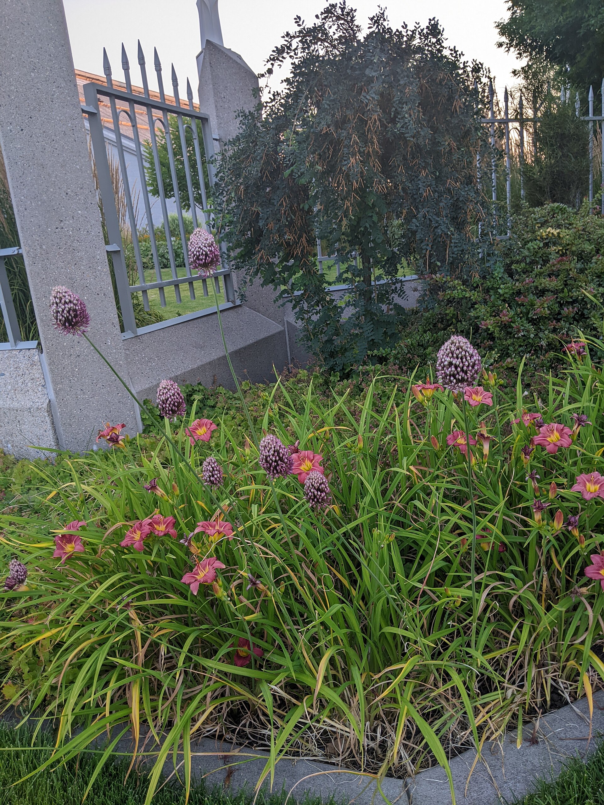 Boise Idaho Temple Street garden, illustrating How Does Refuse and Recycling Work in Boise? A Straight Answer