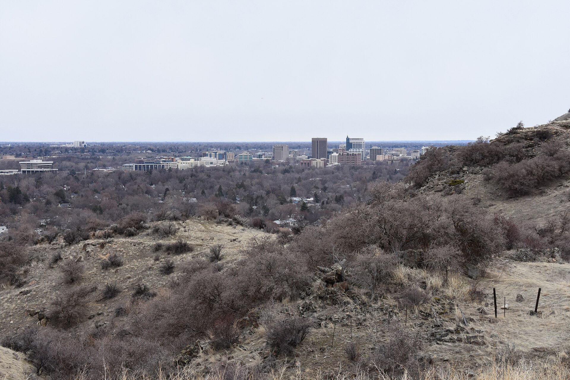 Boise Cityscape, illustrating How Does Tipping Work in Boise? A Straight Answer