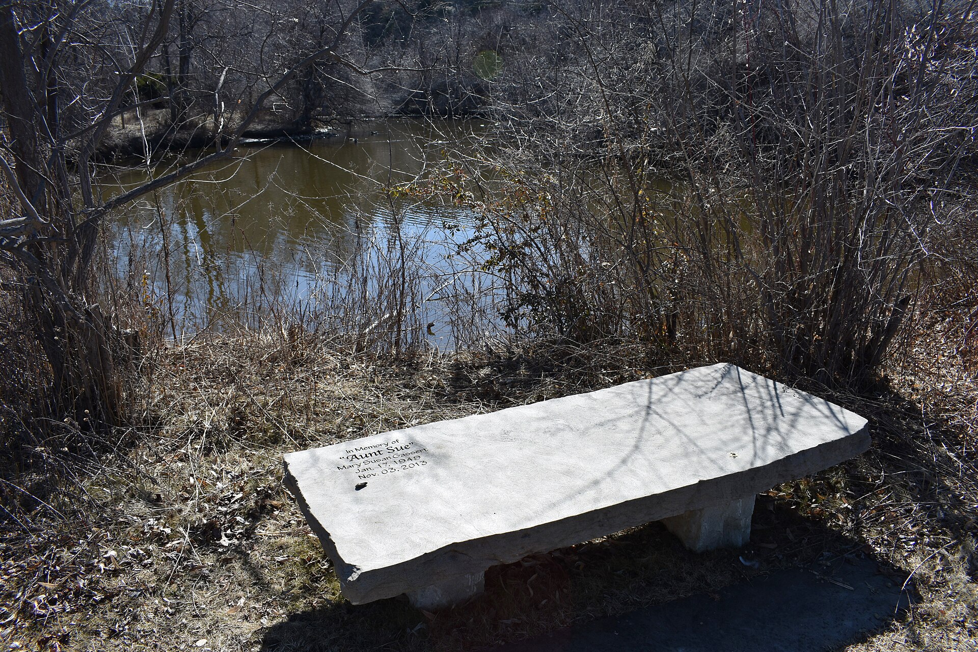 Aunt Sue Bench, Kathryn Albertson Park, illustrating What Is Kathryn Albertson Park? Boise's Wildlife Refuge