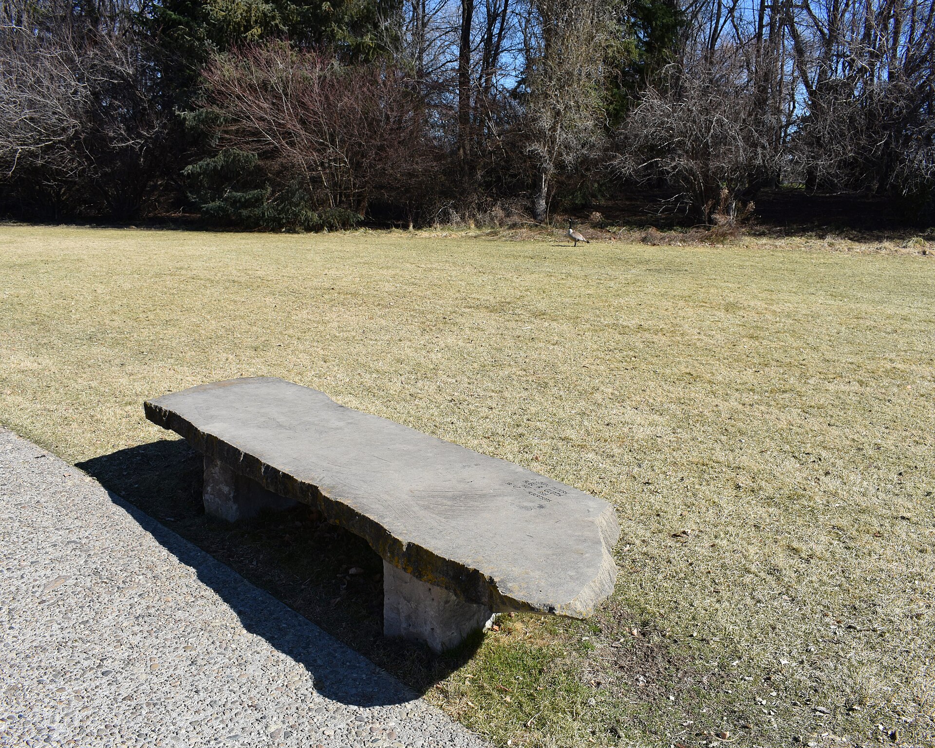 Alec R. Gloth Bench, Kathryn Albertson Park, illustrating What Is Kathryn Albertson Park? Boise's Wildlife Refuge