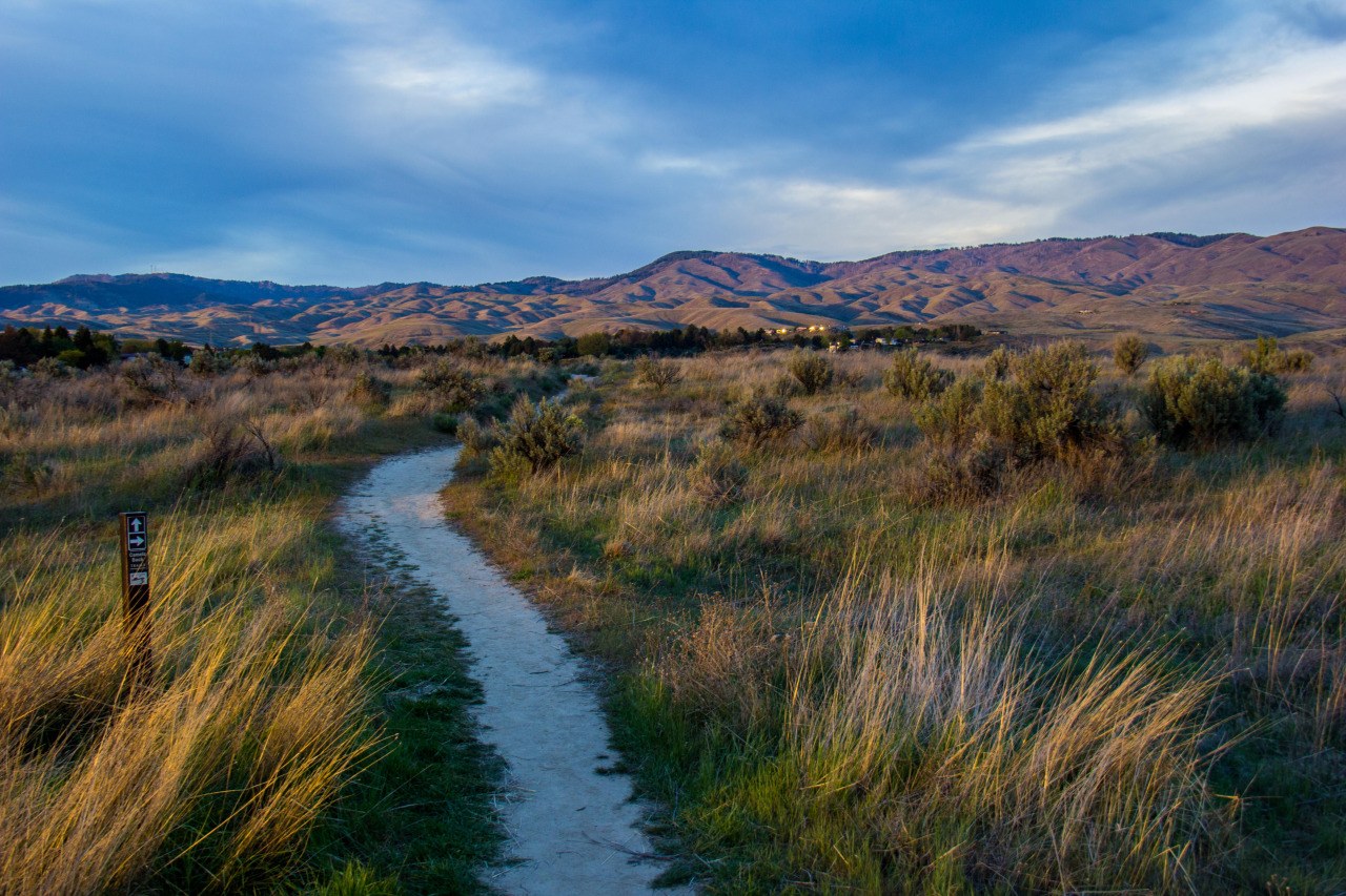A gravel trail winding through grassland in the Boise foothills