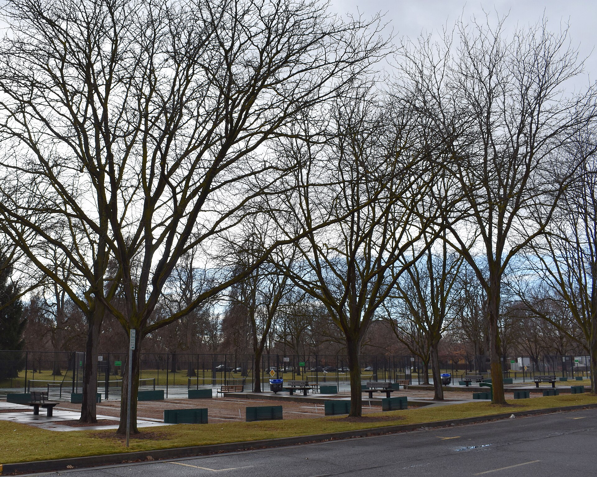 Horseshoe Pits and Tennis Courts (Julia Davis Park), illustrating What Is the Ridge to Rivers Trail System in Boise