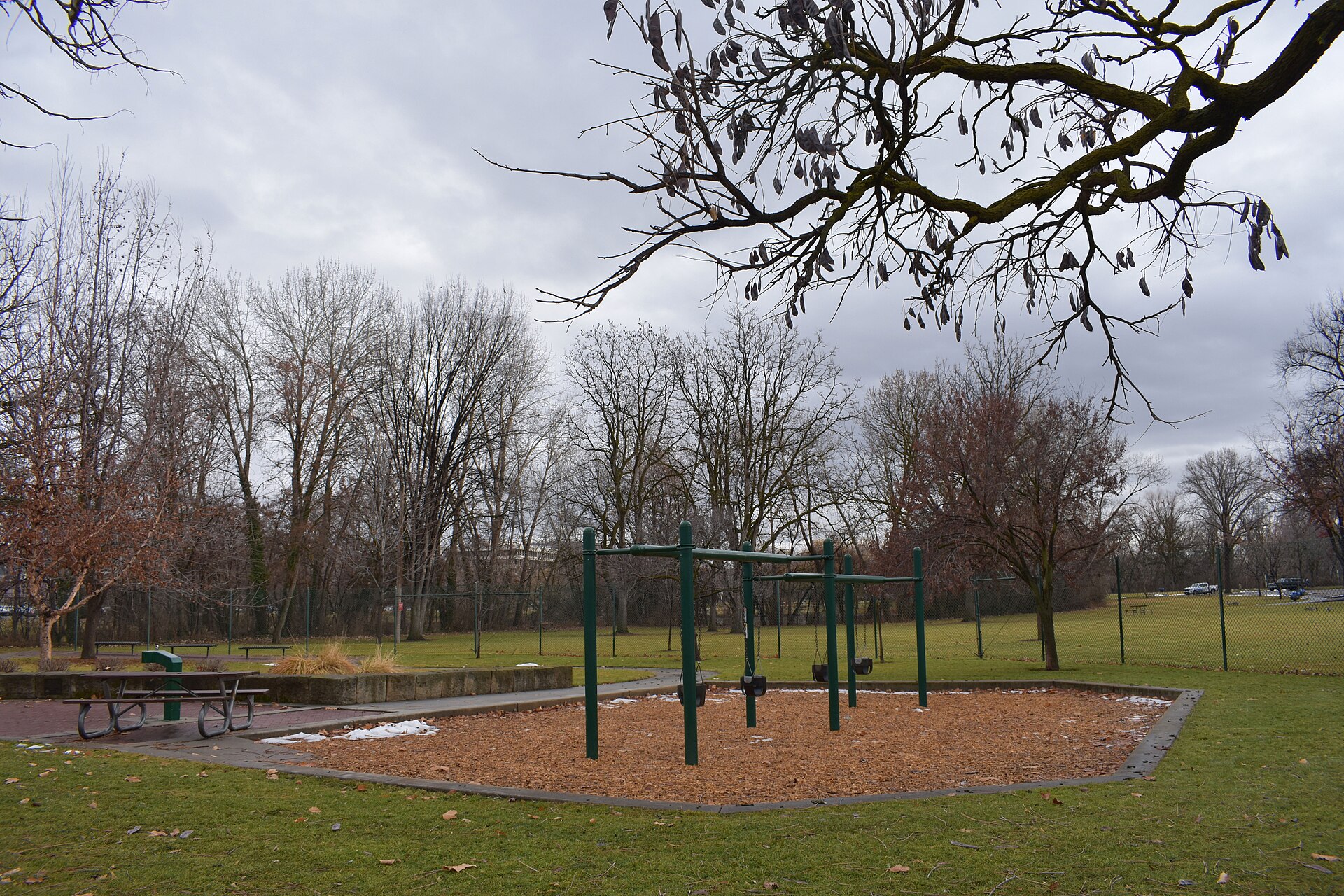 Swingsets (Julia Davis Park), illustrating What Is Swan Falls Dam? Boise's Snake River Landmark