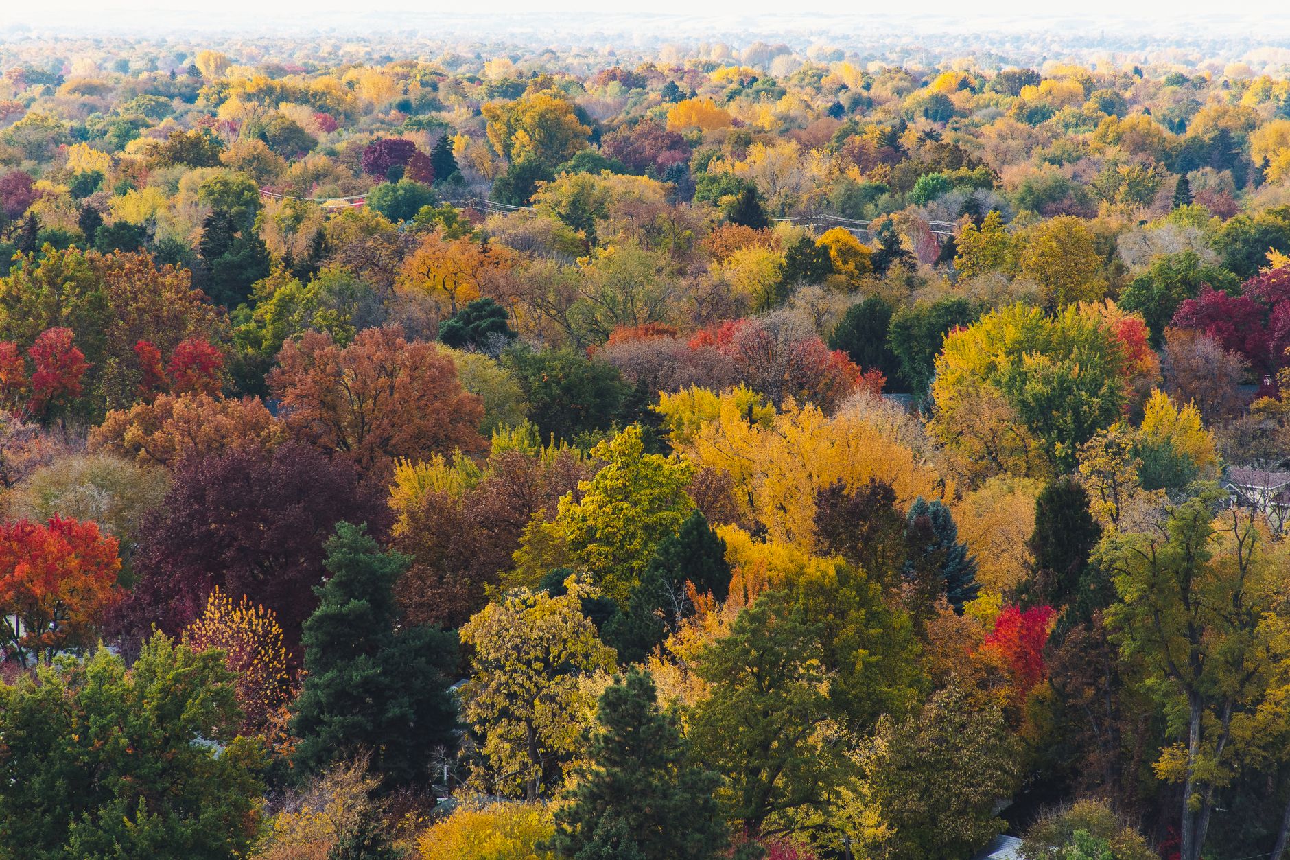 Stunning aerial shot of colorful autumn forest in Boise, Idaho showcasing vibrant fall foliage, illustrating What Is Veterans Memorial State Park in Boise