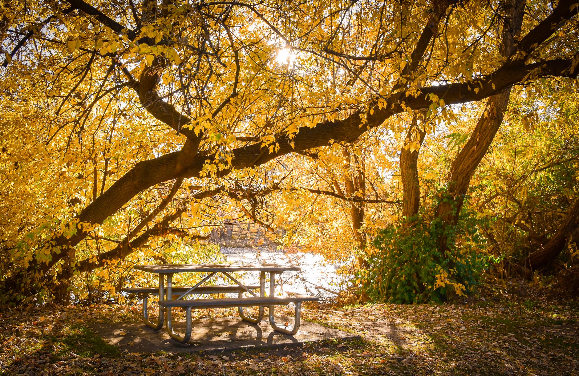 Experience the tranquility of autumn in Boise, Idaho, with golden foliage and a peaceful picnic setting, illustrating What Is Veterans Memorial State Park in Boise