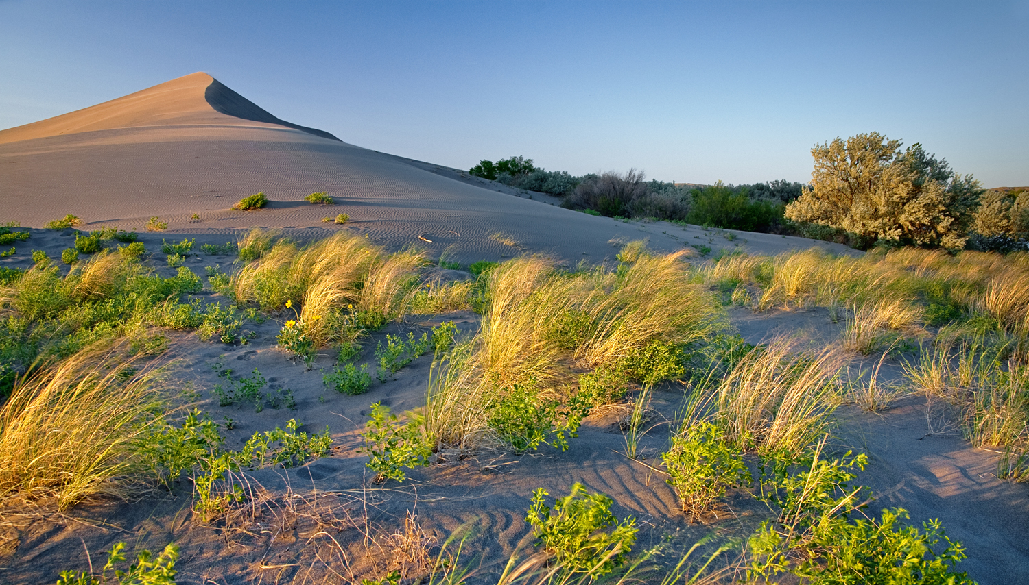 Golden Hour Bruneau Sand Dunes, illustrating What Is Bruneau Dunes State Park? A Boise Day Trip Explained