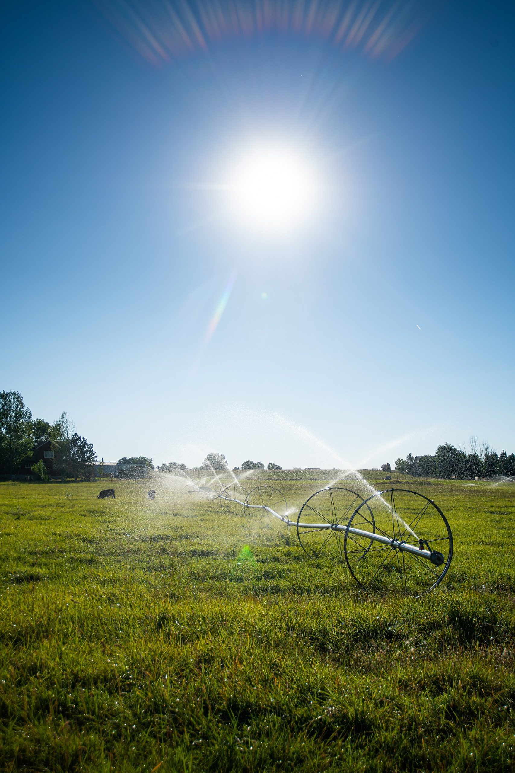 A wheel line irrigation system waters a pasture at the home of Stacey Carlson, a Reclamation employee, in Kuna, Idaho ( KS Reclamation ), illustrating What Is Kuna, Idaho, and What