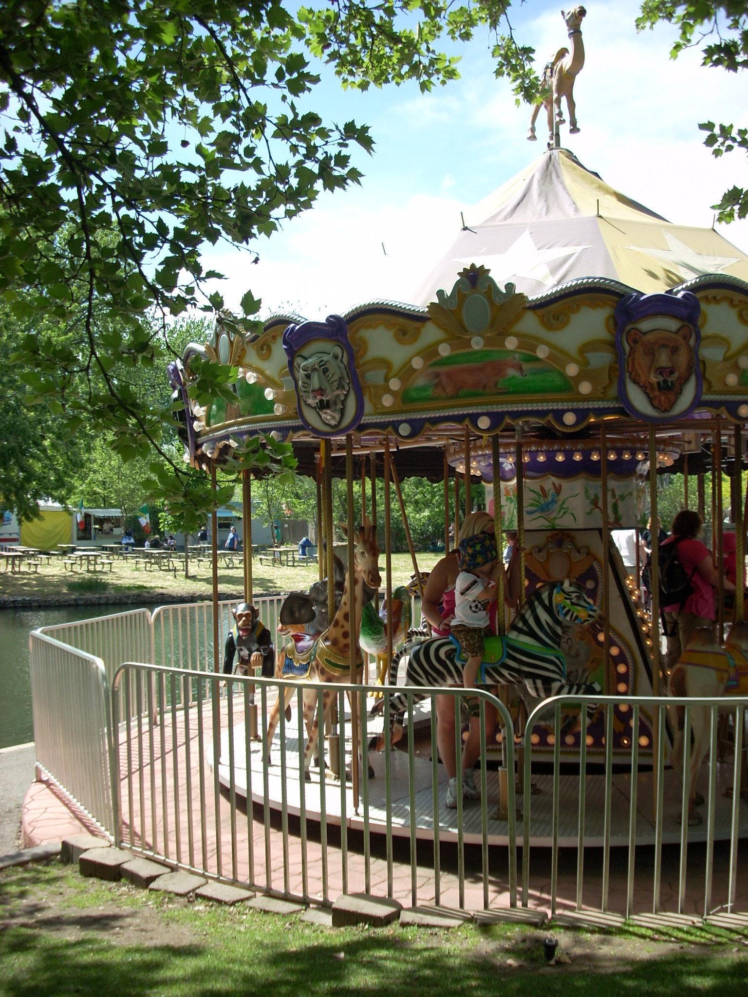 Carousel in Zoo Boise, illustrating What Is Zoo Boise, and How Does Its Conservation Fee Work